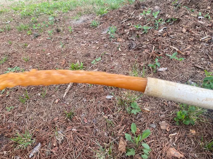 Iron-orange water flushing from a well line onto pine straw