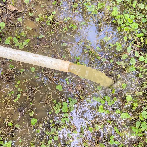 Sediment-heavy water flushing from a well line into a puddle