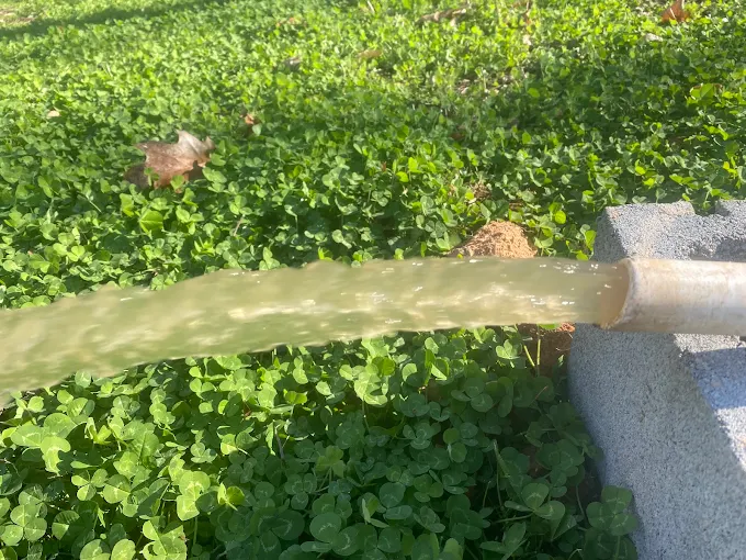 Sediment-heavy water flushing out of a well line onto the grass