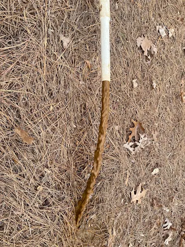 Sediment-filled water flushing from a line onto pine straw