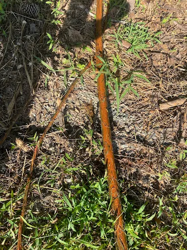 Rust-caked galvanized pipe pulled from an old well